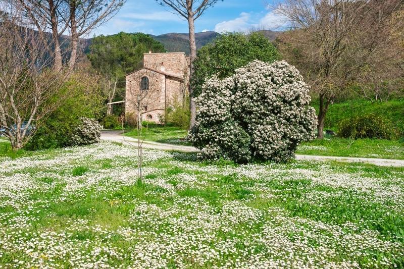 Il Molendino Pisa B&B Кальчи Экстерьер фото